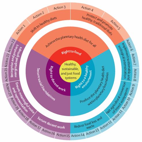 Planetary Health Diet Goals